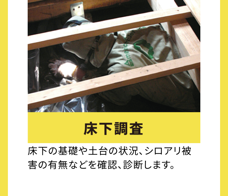 床下調査
床下の基礎や土台の状況、シロアリ被
害の有無などを確認、 診断します。
americ
del